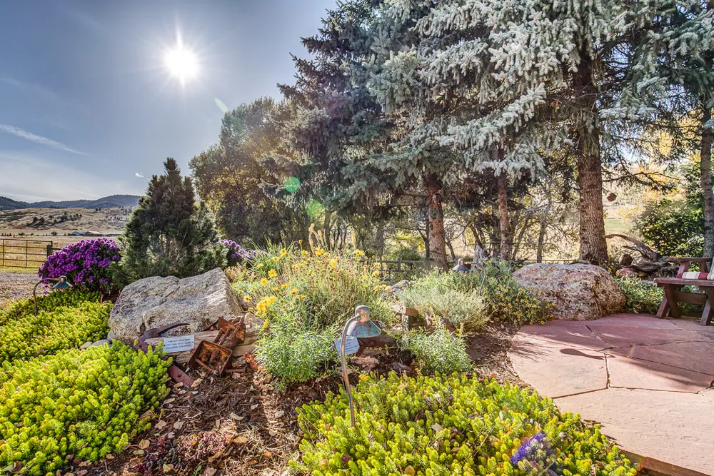 Backyard landscape with patio, lawn and mature trees