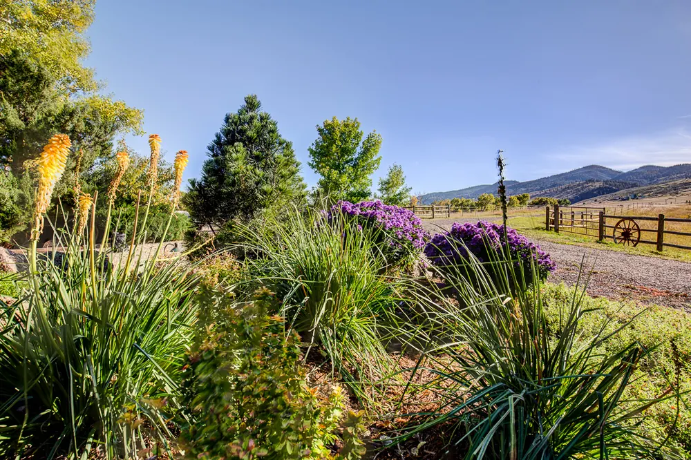 Landscaped yard with rock beds and shrubs
